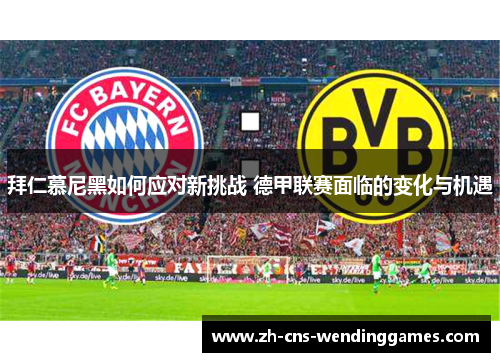 拜仁慕尼黑如何应对新挑战 德甲联赛面临的变化与机遇 拜仁慕尼黑如何应对新挑战 德甲联赛面临的变化与机遇