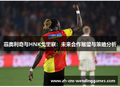 菲奥利奇与HNK戈里察:未来合作展望与策略分析 菲奥利奇与HNK戈里察:未来合作展望与策略分析