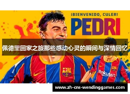 佩德里回家之旅那些感动心灵的瞬间与深情回忆 佩德里回家之旅那些感动心灵的瞬间与深情回忆