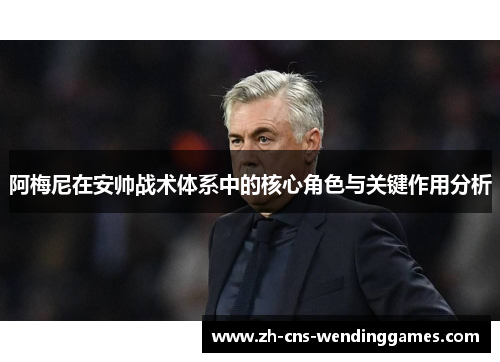阿梅尼在安帅战术体系中的核心角色与关键作用分析 阿梅尼在安帅战术体系中的核心角色与关键作用分析