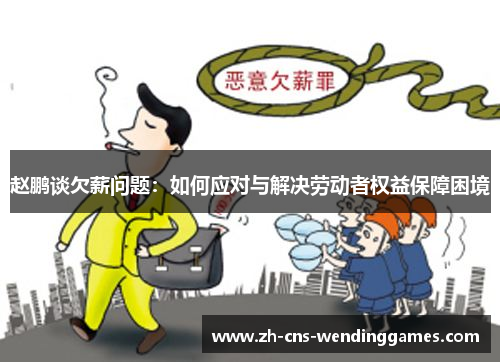 赵鹏谈欠薪问题:如何应对与解决劳动者权益保障困境 赵鹏谈欠薪问题:如何应对与解决劳动者权益保障困境