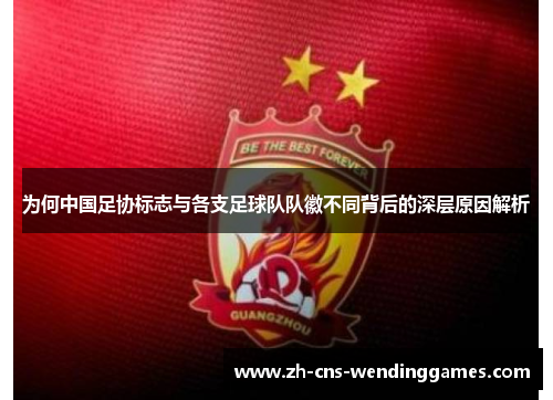 为何中国足协标志与各支足球队队徽不同背后的深层原因解析