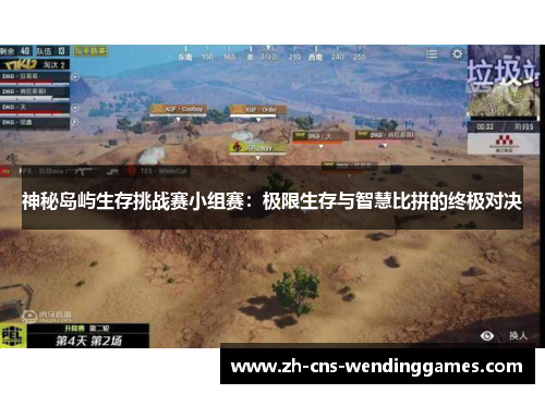 神秘岛屿生存挑战赛小组赛:极限生存与智慧比拼的终极对决 神秘岛屿生存挑战赛小组赛:极限生存与智慧比拼的终极对决